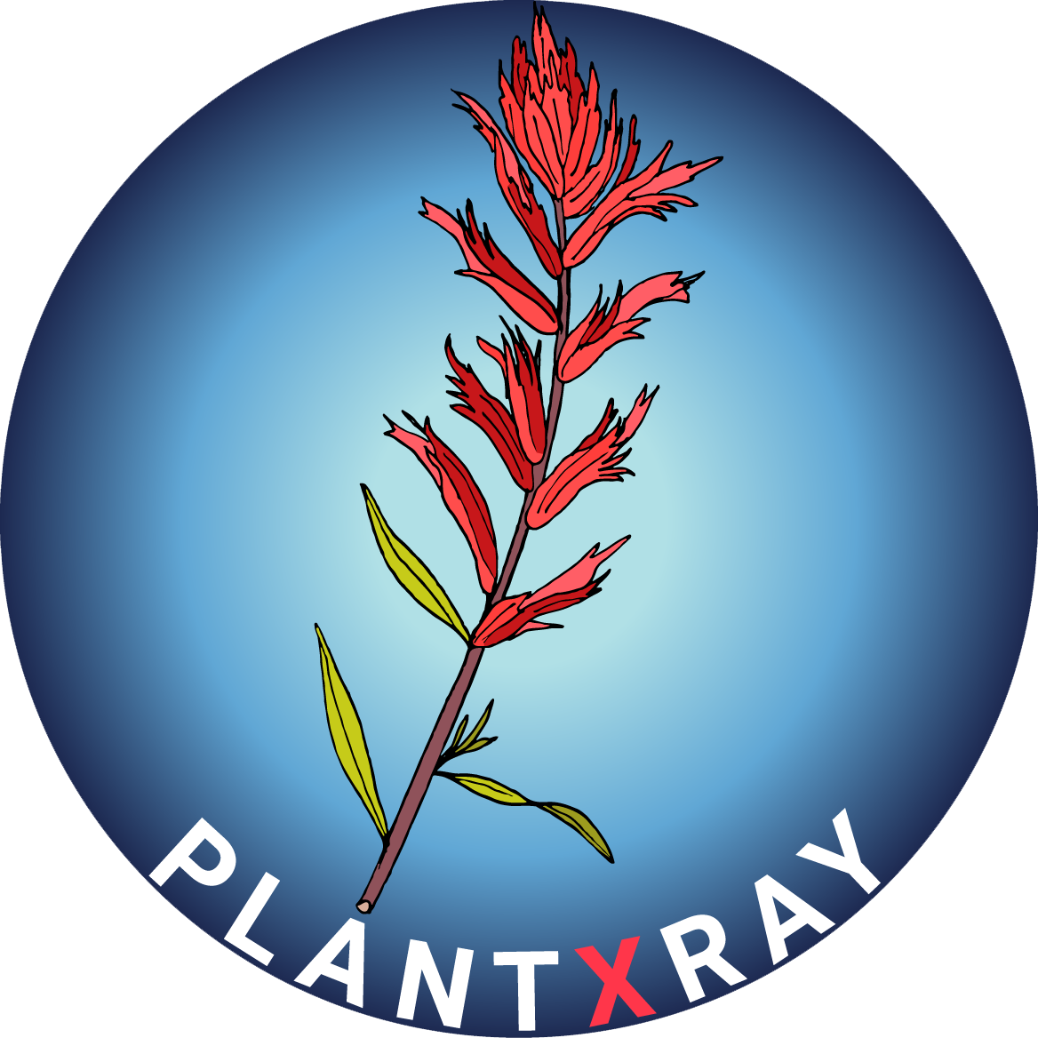 Plant X-Ray Logo